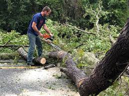 Best Lawn Grading and Leveling  in Belleair Beach, FL